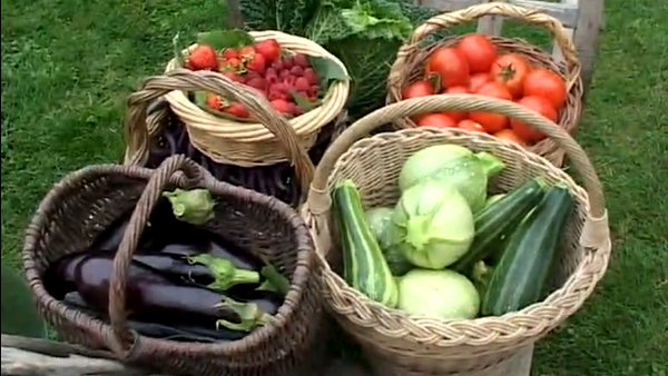 Jardins d’une nouvelle ère, permaculture et agro-écologie… Lancez-vous !