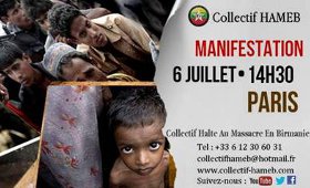Manifestation « Halte Au Massacre En Birmanie » (6 juillet 2013)