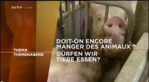 Thema Arte : doit-on encore manger des animaux ? (30 juillet 2013)