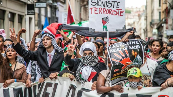 Manifestation pro-palestinienne à Lyon (19 juillet 2014)