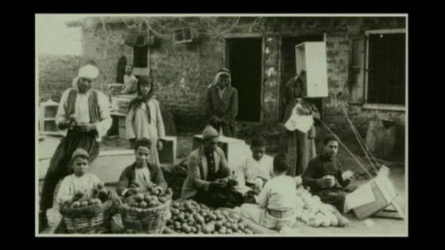 « Jaffa : La mécanique de l’orange » (documentaire)