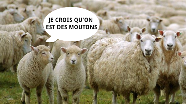 Suis-je un Charlie ou un mouton ?