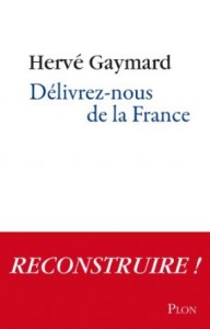 3-herve-gaymard-delivrez-nous-de-la-france