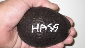 avocat